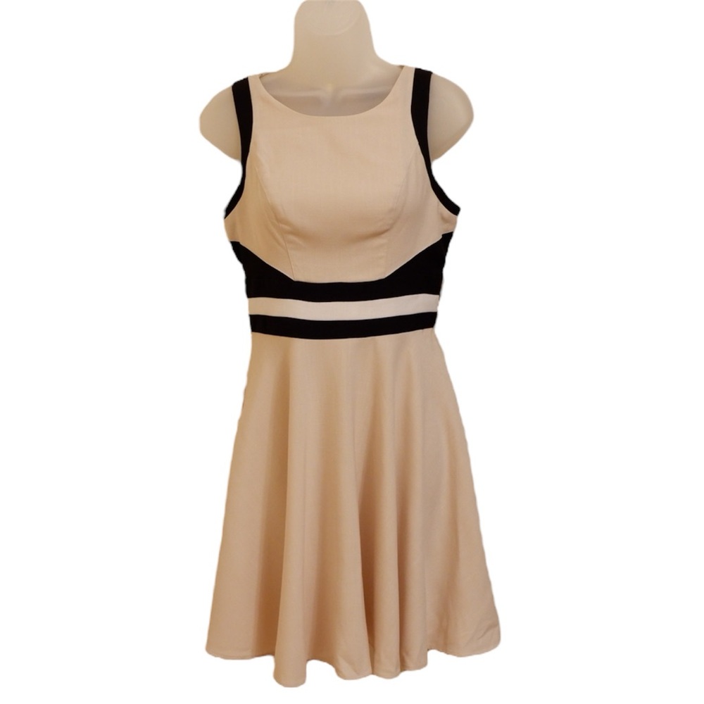 Elegant Cream and Black Dress